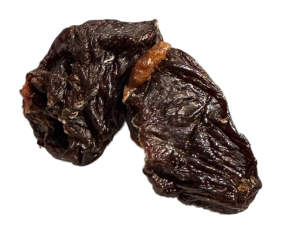 Close-up of a single dehydrated chicken heart treat