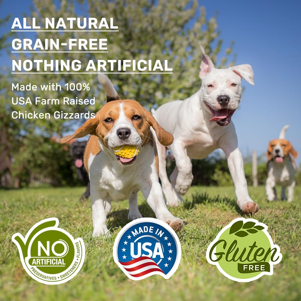 American Paws dog treats — features
