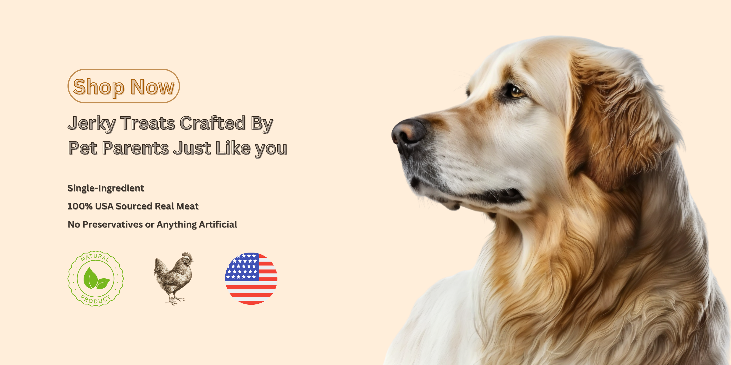 American Paws Banner 1
