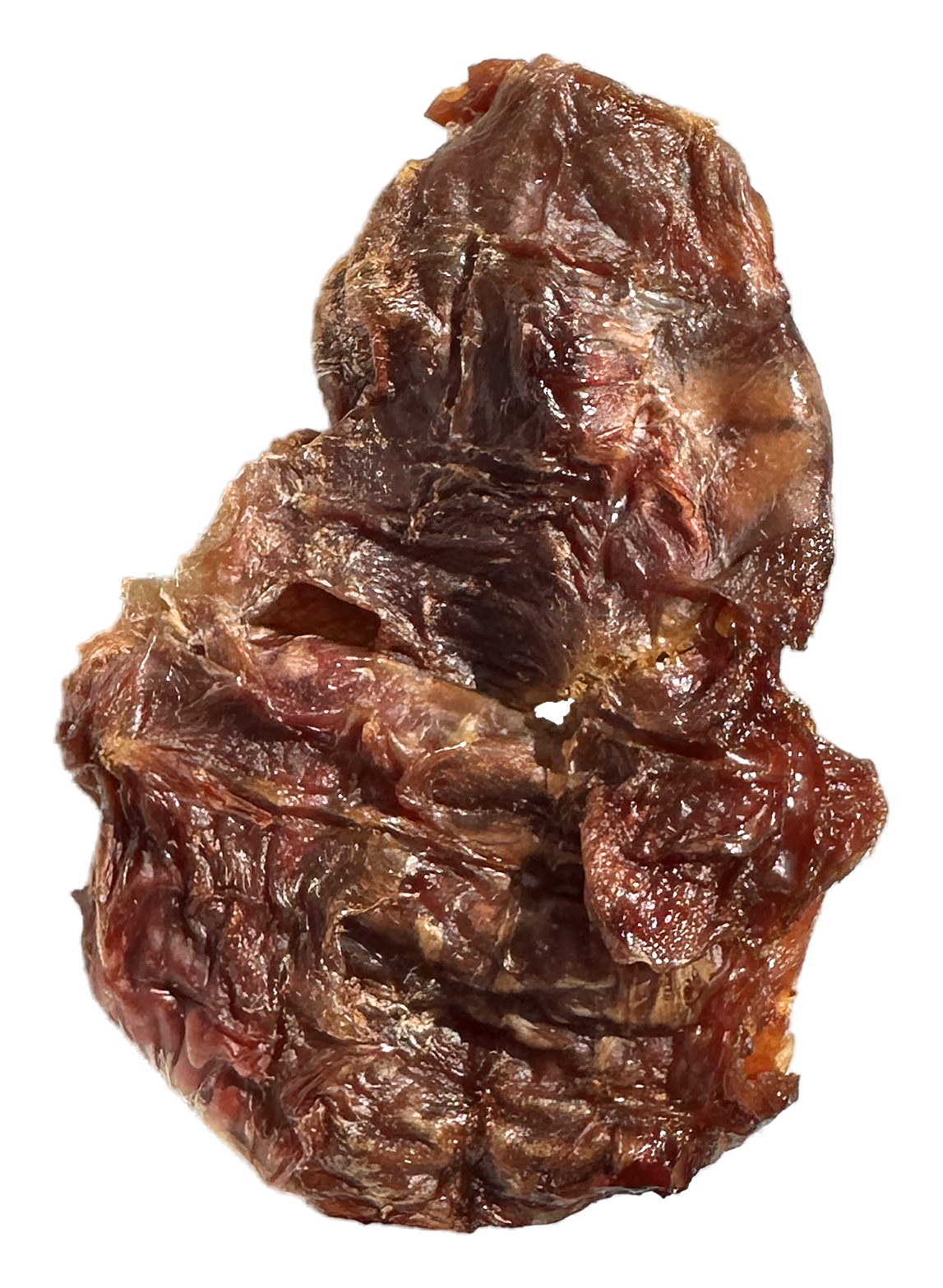 Close-up of a single dehydrated chicken gizzard treat